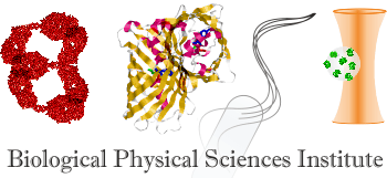 Biological Physical Sciences Institute (BPSI)